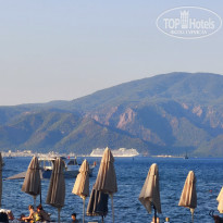 фото из отзыва ID 2739165