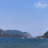 фото из отзыва ID 2739165