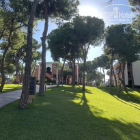 фото из отзыва ID 2739347