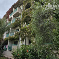 фото из отзыва ID 2739380