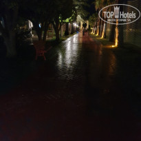 фото из отзыва ID 2739384