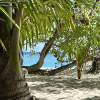 фото из отзыва ID 2739391