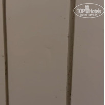 фото из отзыва ID 2739394