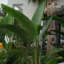 фото из отзыва ID 2739395