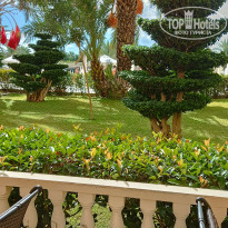 фото из отзыва ID 2739404