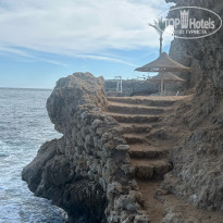 фото из отзыва ID 2739402