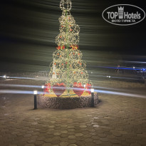 фото из отзыва ID 2739402