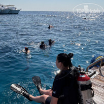 фото из отзыва ID 2739402