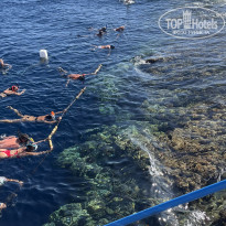 фото из отзыва ID 2739409