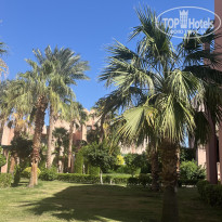 фото из отзыва ID 2739409