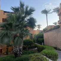 фото из отзыва ID 2739409