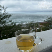 фото из отзыва ID 2739411