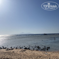 фото из отзыва ID 2739412