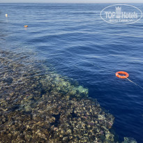 фото из отзыва ID 2739412