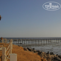 фото из отзыва ID 2739412