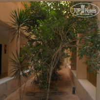 фото из отзыва ID 2739412