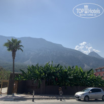 фото из отзыва ID 2739417