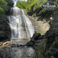 фото из отзыва ID 2739414