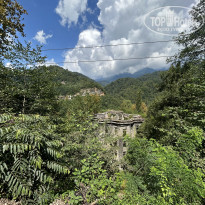 фото из отзыва ID 2739414