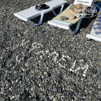 фото из отзыва ID 2739414