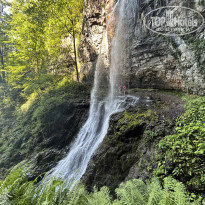 фото из отзыва ID 2739414