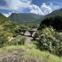 фото из отзыва ID 2739414