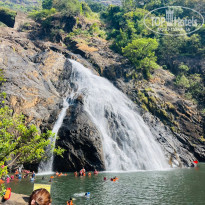 фото из отзыва ID 2739419