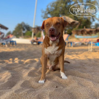 фото из отзыва ID 2739419