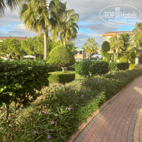 фото из отзыва ID 2739418