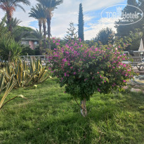 фото из отзыва ID 2739418