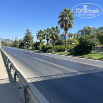 фото из отзыва ID 2739423