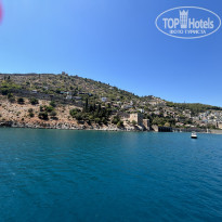 фото из отзыва ID 2739423