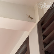 фото из отзыва ID 2739435