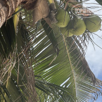 фото из отзыва ID 2739435