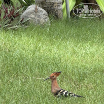 фото из отзыва ID 2739435