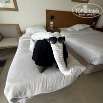 фото из отзыва ID 2739442