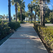 фото из отзыва ID 2739453