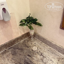 фото из отзыва ID 2739461