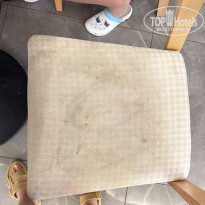 фото из отзыва ID 2739461