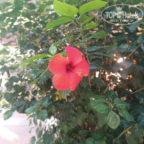 фото из отзыва ID 2737818