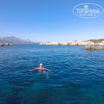 фото из отзыва ID 2737818