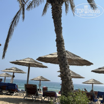 фото из отзыва ID 2739494