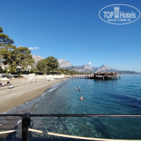 фото из отзыва ID 2739503