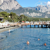 фото из отзыва ID 2739503