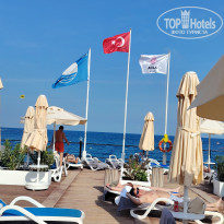 фото из отзыва ID 2739503