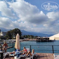 фото из отзыва ID 2739503