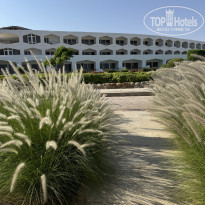 фото из отзыва ID 2739504