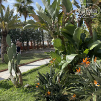 фото из отзыва ID 2737957