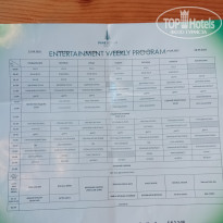 фото из отзыва ID 2739506