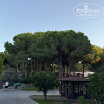 фото из отзыва ID 2739506